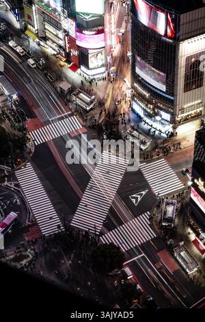 Aerial View of Shibuya Crossing at Night in Tokyo, Japan Stock Photo ...