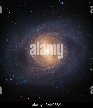 Composite image of the barred spiral galaxy Messier 95 (M95). M95. It is located 33 million light years away in the constellation Leo and has around 40 billion stars. The yellow centre indicates older stars and the blue areas in the spiral arms are hot, young stars. This image is a composite of data from the Hubble Space Telescope and the European Southern Observatory (ESO). Stock Photo