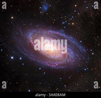Spiral galaxy M81, composite image. The yellow centre indicates older stars, the blue areas in the spiral arms are hot, young stars. M81 is around 12 million light years from Earth, in the constellation of Ursa Major. The image combines data from the Hubble Space Telescope and the Subaru Telescope of the National Astronomical Observatory of Japan (NAOJ). Stock Photo