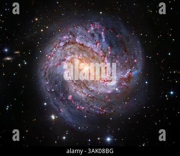 Southern Pinwheel Galaxy (M83), composite image. The yellow centre indicates older stars, the blue areas in the spiral arms are hot, young stars. This spiral galaxy is 14.7 million light years from Earth, in the constellation of Hydra. This image combines data from the Hubble Space Telescope and the Subaru Telescope of the National Astronomical Observatory of Japan (NAOJ). Stock Photo