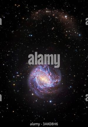 thumbnail image 2 of M83 The Southern Pinwheel Galaxy Hubble Space Poster – 20x30, Spiral Galaxy Art 2 of 5