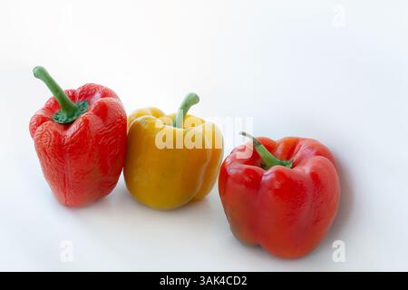 Sweet bell pepper isolated on white background cutout.Multicolored peppers for banner. Stock Photo