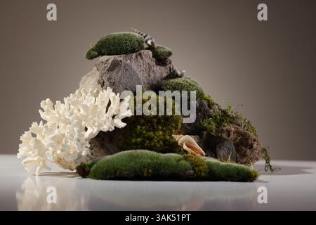 Contemporary still life with dried hydrangea, dried eryngium flowers and brown corkscrew on a dark background Northern natural composition with lichen Stock Photo