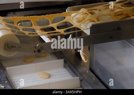line belt in an Italian fresh pasta factory Stock Photo