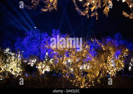christmas lights on trees, in a park in Athens, Greece Stock Photo