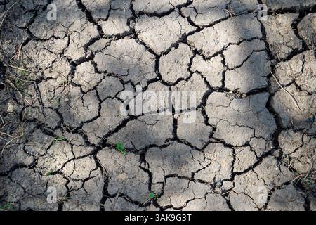 Cracked dry mud, close up Stock Photo