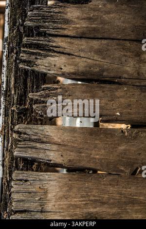 old rotten timber floorboards Stock Photo