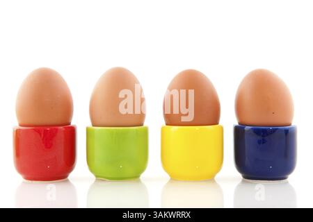 Brown eggs in colorful cups isolated over white Stock Photo