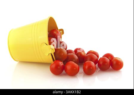 Yellow bucket full with fresh cherry tomatoes Stock Photo