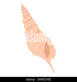 Seashell found on beach during sunset showcasing natural beauty and intricate design Stock Vector