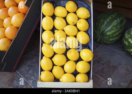 Fresh ripe lemons arranged in an open cardboard box for sale between oranges and watermelons in a store Stock Photo