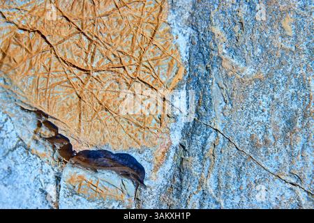 Textured Rock Face with Erosion Patterns in Natural Light Close-Up Stock Photo
