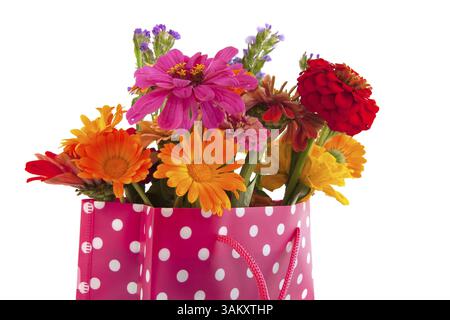 Colorful garden bouquet in cheerful giftbag isolated over white Stock Photo