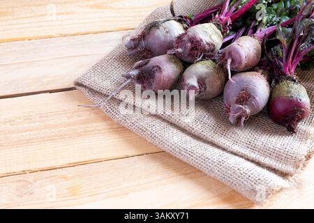 Fresh beetroot harvest in the garden. Bunch of freshly picked raw beetroot on wooden background. Macro close up. Autumn harvest of organic vegetables Stock Photo