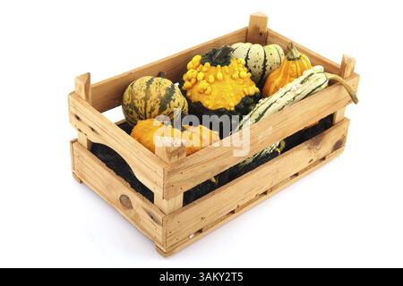 Assortment squashes and pumpkins in wooden crate Stock Photo