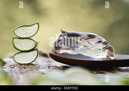 Aloe vera gel on a wooden spoon with fresh sliced aloe vera leaves on a table Stock Photo