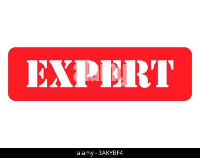 Expert stamp symbol, label sticker sign button, text banner vector illustration . Stock Vector