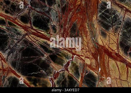 Excellent Rainforest Green Extra - marble background, texture in beautiful dark tone for your interior. Stock Photo