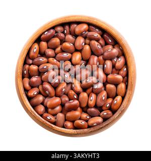 Dutch brown beans in a wooden bowl. Bruine bonen in Dutch, dried variety of bean, Phaseolus vulgaris. They are oval shaped and caramel brown in color. Stock Photo