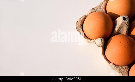 A partial view of chicken eggs nestled in a cardboard carton against a bright, empty surface. Stock Photo