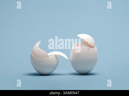 Two white eggshells on plain blue background Stock Photo