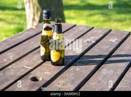 Surlingham, Norfolk, UK – April 12 2025. Two small and empty bottles of Prosecco on a wooden table in a beer garden Stock Photo