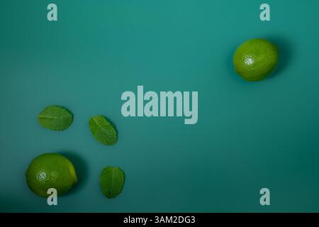 Fresh Lime and Mint Composition – One Lime with Mint Leaves Stock Photo