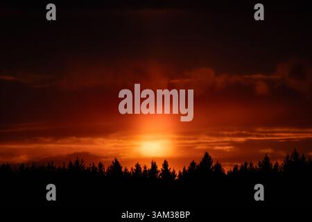 A powerful scene of the sun setting behind a dark forest, casting an intense orange glow into the sky. Stock Photo