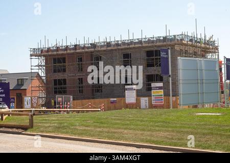Maidenhead, Berkshire, UK. 11th April, 2025. New houses and apartments under construction in South West Maidenhead, Berkshire at the Harvest Hill site by builders Taylor Wimpey. In Labour's push to build more homes and ignore "Nimby" concerns, Chancellor Rachel Reeves has recently told builders that they can "Forget bats and newts" when they plan more houses. South West Maidenhead is becoming unrecognisable as many of the open fields are being built on. Nearby Maidenhead Golf Club is also due to have 1,500 news homes built on it too. Credit: Maureen McLean/Alamy Stock Photo