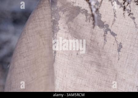 Natural Beige Undyed Linen Fabric on the Dry Plant Coated in Fresh Snow. Great for Eco and Minimalist Aesthetics. Copy Space. Hard shadows. Stock Photo