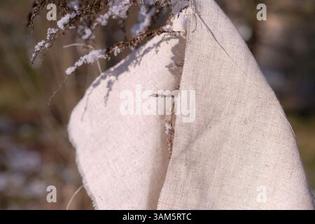 Natural Beige Undyed Linen Fabric on the Dry Plant Coated in Fresh Snow. Great for Eco and Minimalist Aesthetics. Copy Space. Hard shadows. Stock Photo