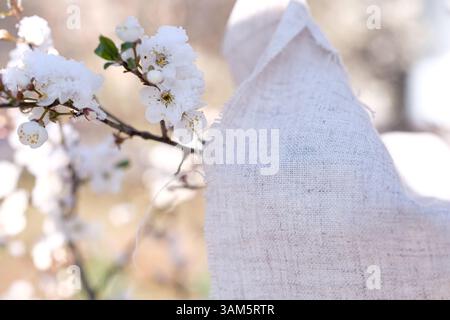 Natural Beige Undyed Linen Fabric on the Blooming Fruit Tree Branch Coated in Fresh Snow. Gentle Touch, Sustainability, and Slow Living. Stock Photo