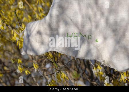 Natural-colored hemp fabric outdoors. Word hemp is embroidered in green letters on the canvas. Plants under snow. Sunlight shadows. Sustainable living Stock Photo