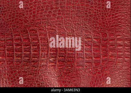 Red crocodile leather texture macro close up view Stock Photo