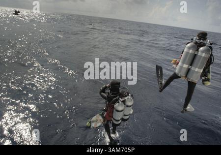 Jay Styron Christine Addison, left, and Jay Styron jump off the deck of the Nancy ...