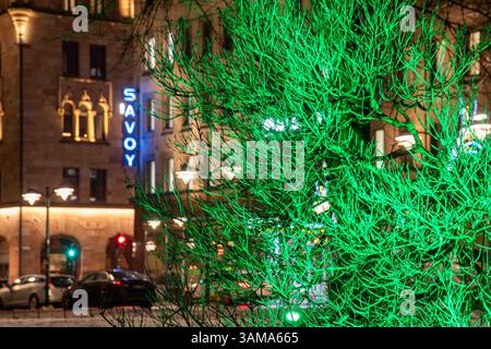 Just Green by Kari Kola at Lux Helsinki 2025 light art festival. Illuminated tree in Esplanadi Park in Helsinki, Finland. Stock Photo