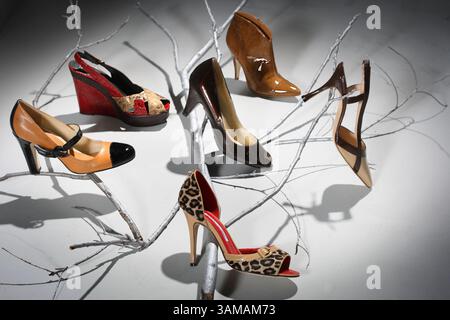 Sept. 5, 2007 - U.S. - Branch out with patents and prints! Clockwise, from center top: BCBGirls hazelnut shoe boot, $134.95, Nordstrom; Manolo Blahnik two-tone slingback in sand and chocolate, $575, Neiman Marcus; Manolo Blahnik animal-print open-toe slide, $615, Neiman Marcus; Enzo Angiolini's Katlyn high-heeled Mary Jane in praline with black patent toecap, $98.95, Nordstrom; Donald J. Pliner couture wedge in dark red and sand, $350, B. Whitman; and Mossimo chocolate-brown patent peep-toe pump, $24.99, Target. (Joyce Marshall/Fort Worth Star-Telegram/MCT) (Credit Image: © Joyce Marshall/mct/ Stock Photo