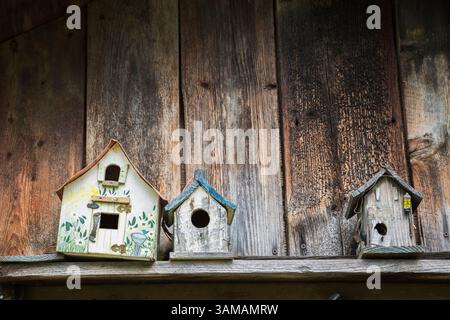 Close-up of painted and decorated wooden bird houses above the doorway on an old weathered wooden plank shed. Stock Photo