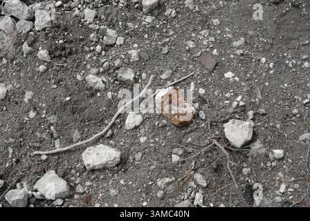 A discarded machine part lies in the gravel, rusty and marked by time - a symbol of transience, technology and industrial decay. Stock Photo