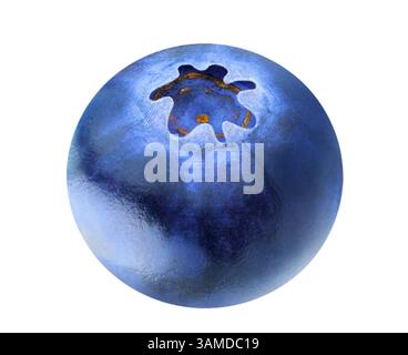 One blueberry isolated on white background Stock Photo