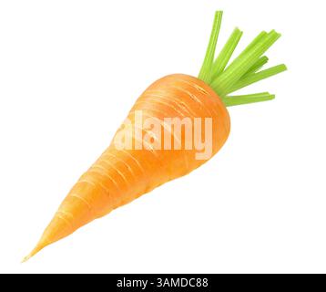 One raw carrot isolated on white background Stock Photo
