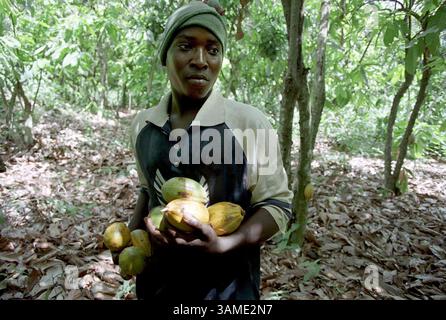 May 8, 2001 - U.S. - ATTENTION EDITORS: PICTURE IS ALSO USABLE WITH SLAVERY-MAIN -- KRT WORLD NEWS STORY SLUGGED: SLAVERY-RESCUE KRT PHOTOGRAPH BY EVELYN HOCKSTEIN/KRT (June 21) Mombi Bakayoko, 15, carries cocoa pods on a cocoa farm near Bediala, Ivory Coast, April 22, 2001. Mombi who is from Mali, worked on the farm for nearly a year. Youth, trafficked from countries like Mali and Burkina Faso, work plantations that grow coffee and cocoa as slave labor. (KRT) NC BL KD 2001 (Horiz.) (kn) ATTENTION EDITORS: PICTURE IS ALSO USABLE WITH SLAVERY-MAIN  (Credit Image: © PHOTOGNOSOURCE/mct/ZUMAPRESS. Stock Photo