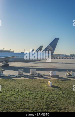 Heathrow, London - 28 January 2019: Multi country Airlines Aeroplane at Heathrow airport, London, UK Stock Photo