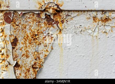 White corroded metal background. Rusty and scratched painted metal wall. Rusty metal background with streaks of rust Stock Photo