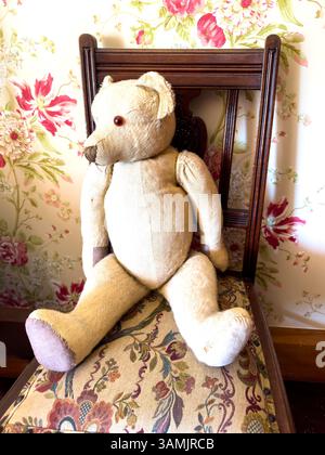 Vintage Teddy Bear on chair in bedroom, Riccarton House & Bush, Kahu Road, Fendalton, Christchurch (Ōtautahi), Canterbury Region, New Zealand Stock Photo
