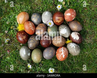 Naturally dyed Easter eggs with floral patterns using onion peel, hibiscus, and blossoms. A creative Easter tradition with natural materials. Stock Photo