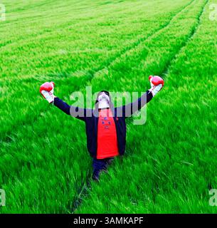 A young man wearing boxing gloves raises his hands in the air while standing in a field, Berg, Switzerland. Stock Photo