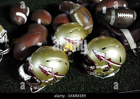 florida state football helmet 2014 Seminoles Riddell Speed Authentic Green Gridiron, Inc 14 1/2 inch x 12 1/2 inch x 12 inch Fixing Florida State | The