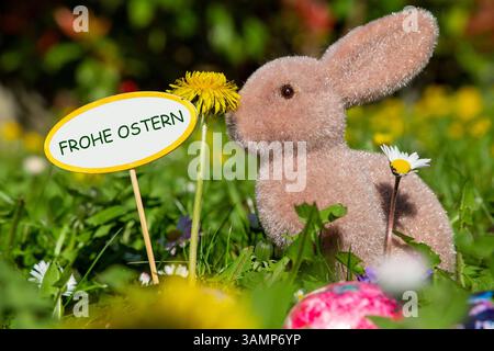 Frohe Ostern: Osterhase auf einer Blumenwiese neben einem Schild mit hinzugefügtem Text FROHE OSTERN *** Happy Easter Easter bunny on a flower meadow next to a sign with added text HAPPY EASTERS Copyright: xUdoxHerrmannx Stock Photo