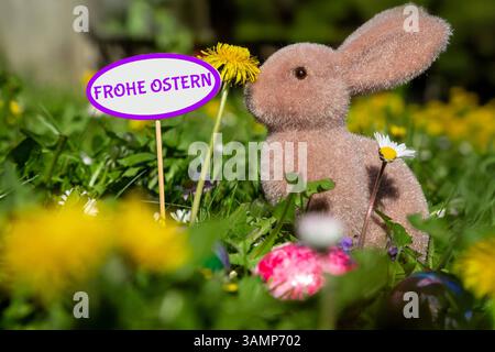 Frohe Ostern: Osterhase auf einer Blumenwiese neben einem Schild mit hinzugefügtem Text FROHE OSTERN *** Happy Easter Easter bunny on a flower meadow next to a sign with added text HAPPY EASTERS Copyright: xUdoxHerrmannx Stock Photo